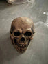 Full Head Skull Mask Helmet With Movable Jaw 3D Skeleton Skull Horror Mask Adults Cosplay Costume